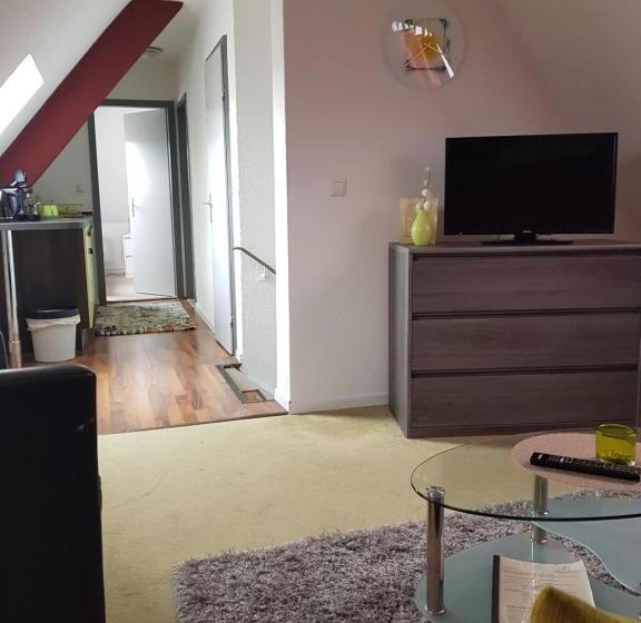 Апартаменты 1 Спальня, Parkhotel Villingen Und Boardingzimmer
