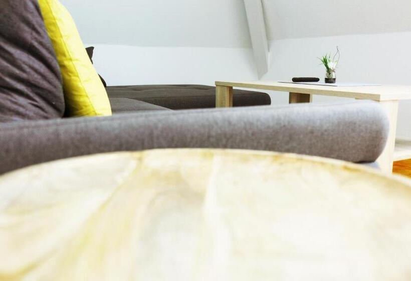 침실 1개 아파트, Parkhotel Villingen Und Boardingzimmer