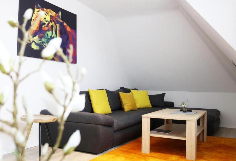 Апартаменты 1 Спальня, Parkhotel Villingen Und Boardingzimmer