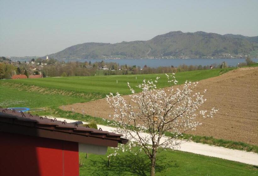 Номер Superior, Alpenblick Attersee Seiringer Kg