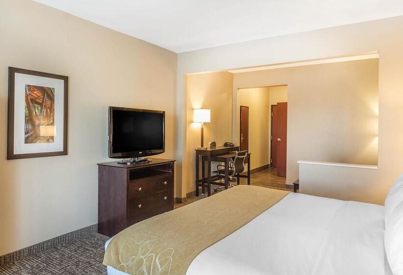 Люкс, Comfort Suites North