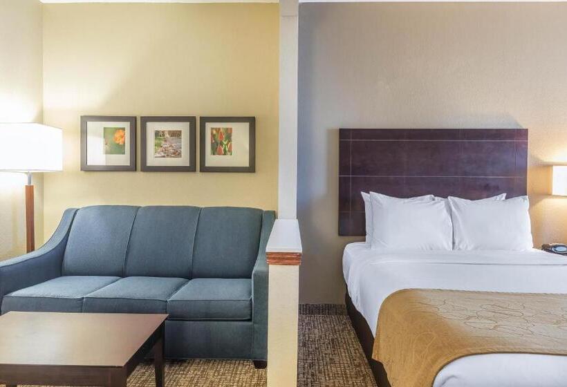 Suíte Cama King, Comfort Suites North