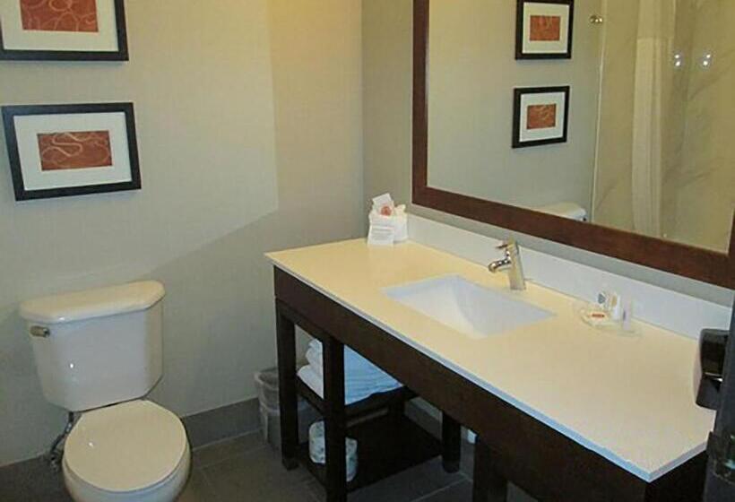 Suíte Cama King, Comfort Suites North