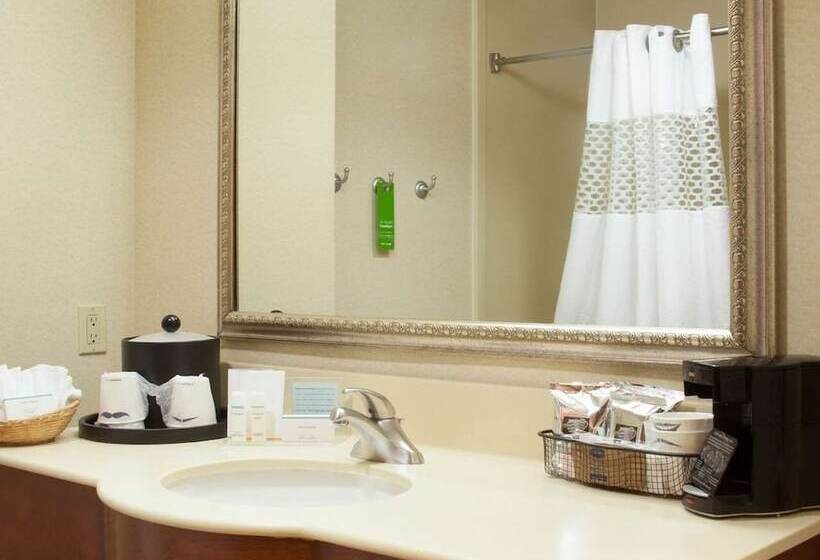سوییت, Hampton Inn & Suites Brownsville