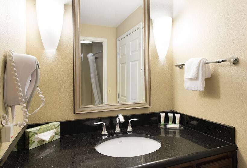 Люкс, Staybridge Suites North Charleston, An Ihg