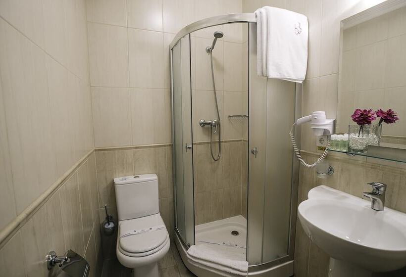غرفة قياسية, Edem Hotel Lviv
