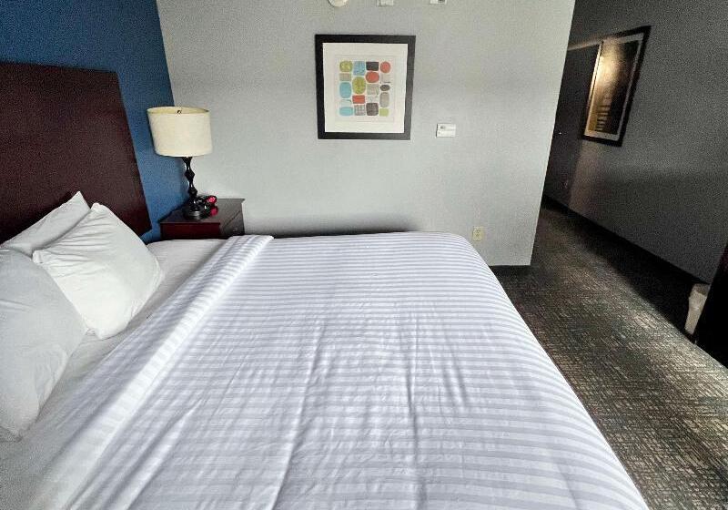 장애인을 위한 킹사이즈 침대 스탠다드 룸, Best Western Plus Glen Allen Inn