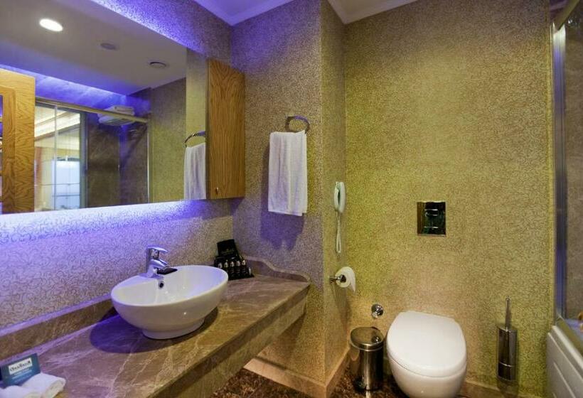 اتاق استاندارد اینتریور, Granada Luxury Okurcalar