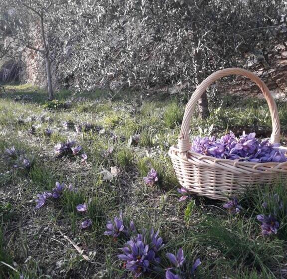 Номер Стандарт Трехместный, Agriturismo L Arco