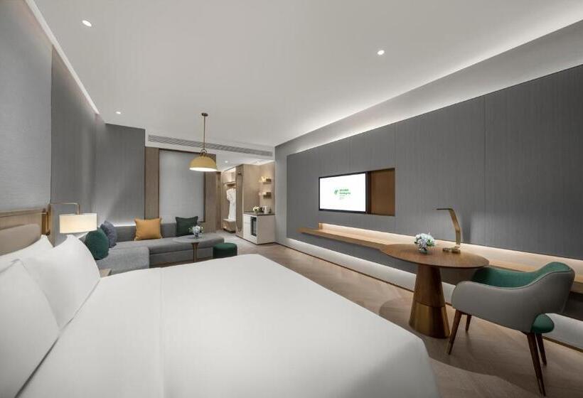 带大床的标准间, Holiday Inn Fu An