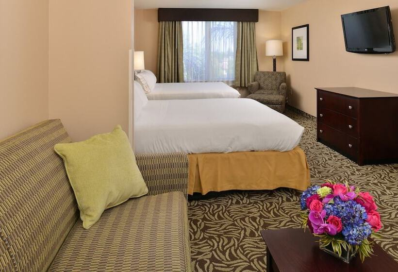 스위트, Holiday Inn Express Fresno River Park Highway 41, An Ihg
