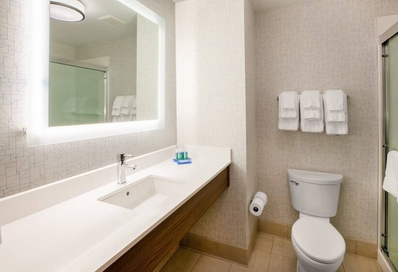 스위트, Holiday Inn Express Fresno River Park Highway 41, An Ihg