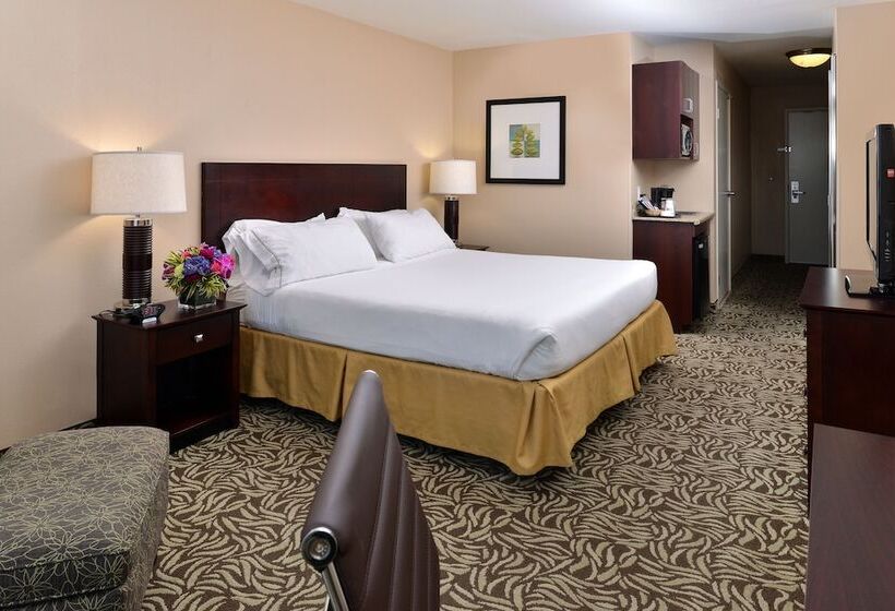 스탠다드 룸, Holiday Inn Express Fresno River Park Highway 41, An Ihg