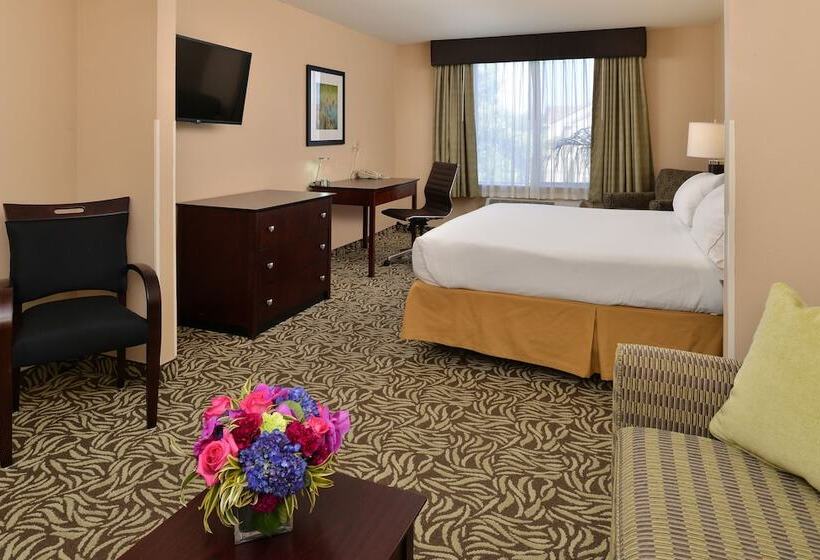 스위트, Holiday Inn Express Fresno River Park Highway 41, An Ihg