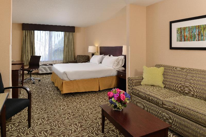 이그제큐티브 스위트 킹침대, Holiday Inn Express Fresno River Park Highway 41, An Ihg