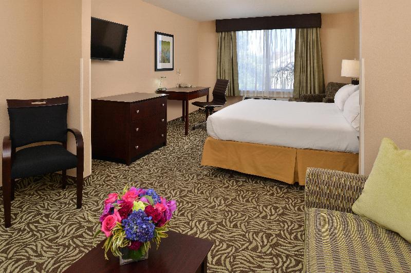 이그제큐티브 룸 킹사이즈 침대, Holiday Inn Express Fresno River Park Highway 41, An Ihg