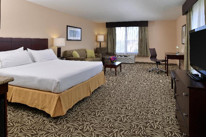 이그제큐티브 룸 킹사이즈 침대, Holiday Inn Express Fresno River Park Highway 41, An Ihg