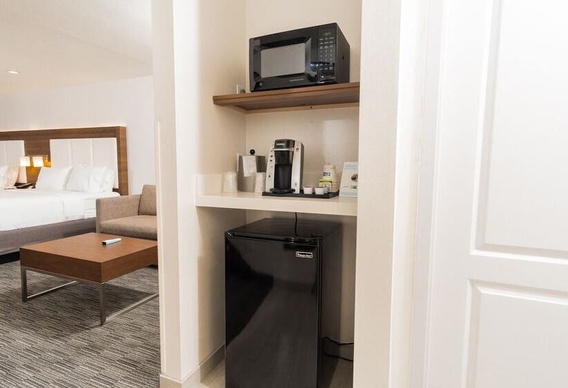 스탠다드 룸 더블 침대 2개, Holiday Inn Express Hollywood Walk Of Fame, An Ihg