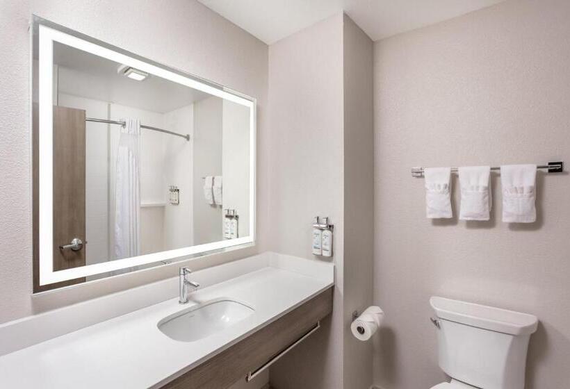 Люкс 2 Спальни, Holiday Inn Express Kearney, An Ihg