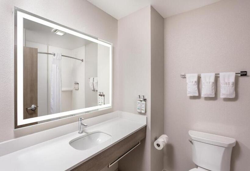Люкс 2 Спальни, Holiday Inn Express Kearney, An Ihg