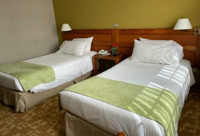 اتاق استاندارد, Almasur Punta Arenas