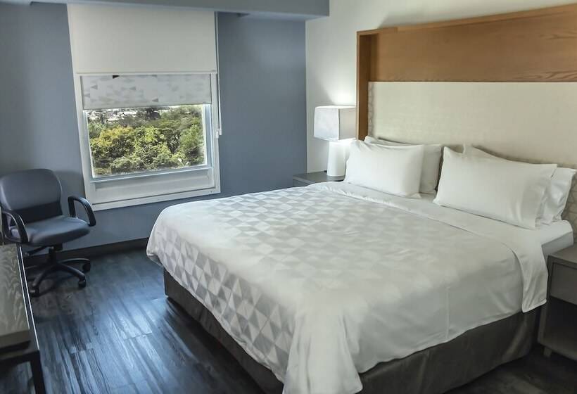 标准间, Holiday Inn Uruapan, An Ihg