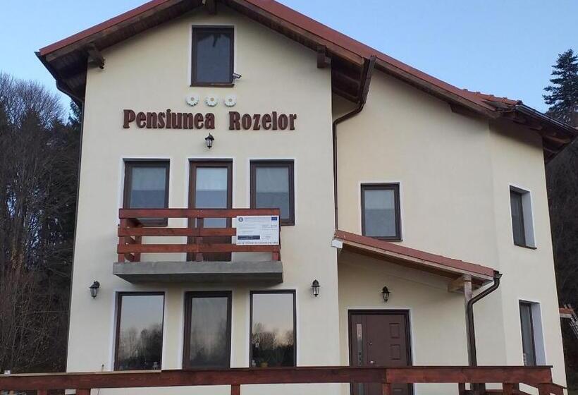 Дом 1 Спальня, Pensiunea Rozelor Stațiunea Climaterică Sâmbăta