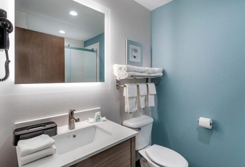 스탠다드 룸 킹사이즈 침대, Quality Inn Lebanon  Nashville Area