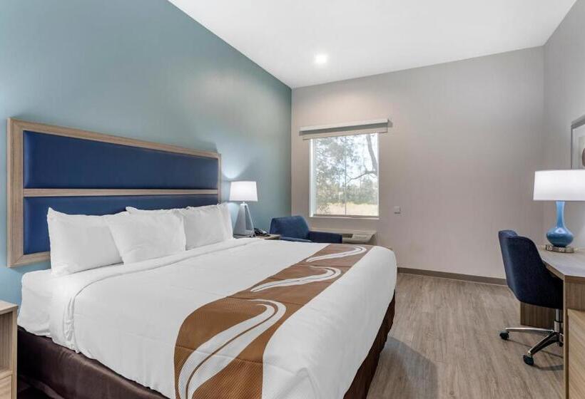 장애인을 위한 킹사이즈 침대 스탠다드 룸, Quality Inn Lebanon  Nashville Area
