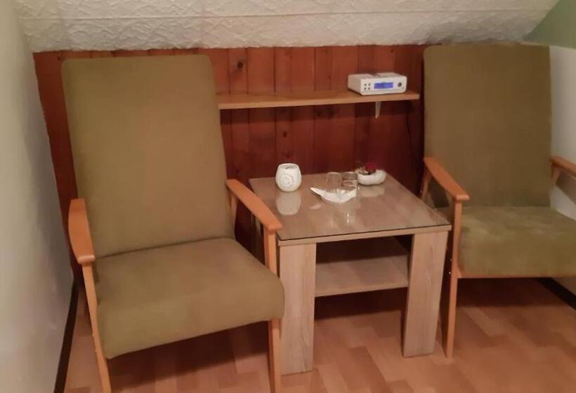 Стандартный Номер Кровать Кинг, Pension Kristýna
