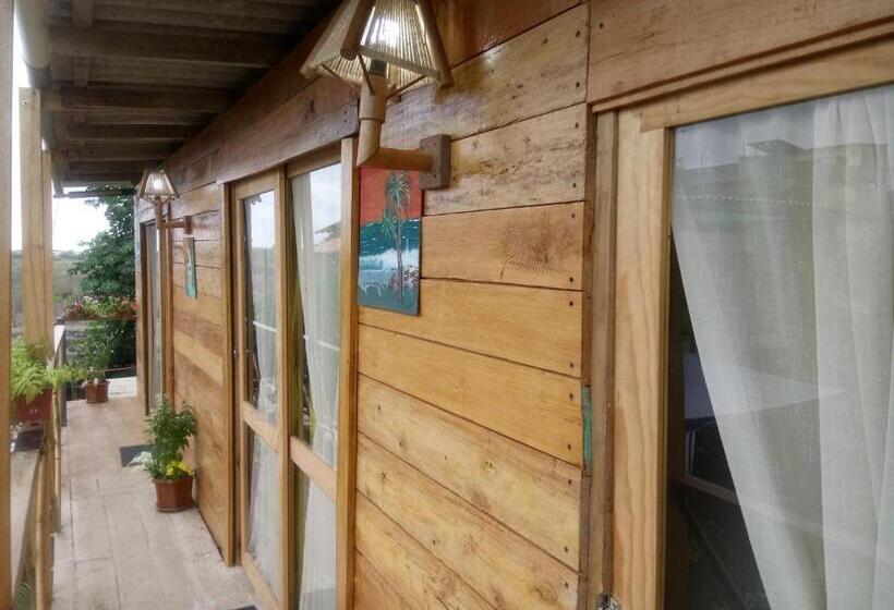 Трежместный Номер Economy, Buganvilla Guest House