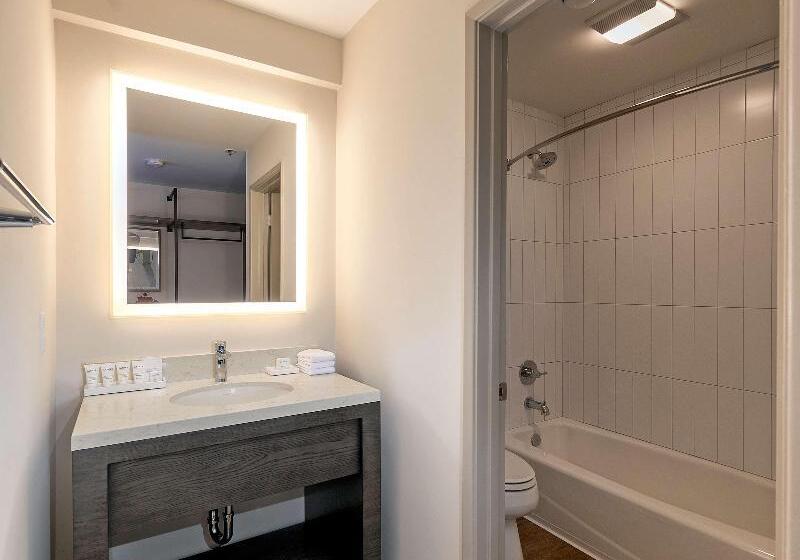 Классический Номер, Antoinette Hotel Wimbledon