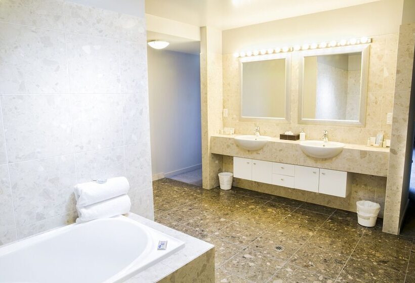 Апартаменты Пентхаус 1 Спальня, The Glebe Apartments