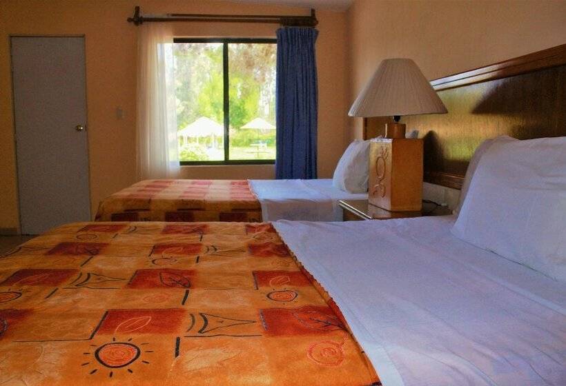 ベーシックルーム, Nuevo Centro Vacacional Gogorron