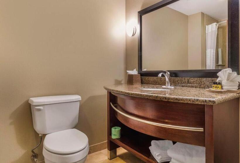Люкс Кровать Кинг, Best Western Plus Texoma Hotel & Suites