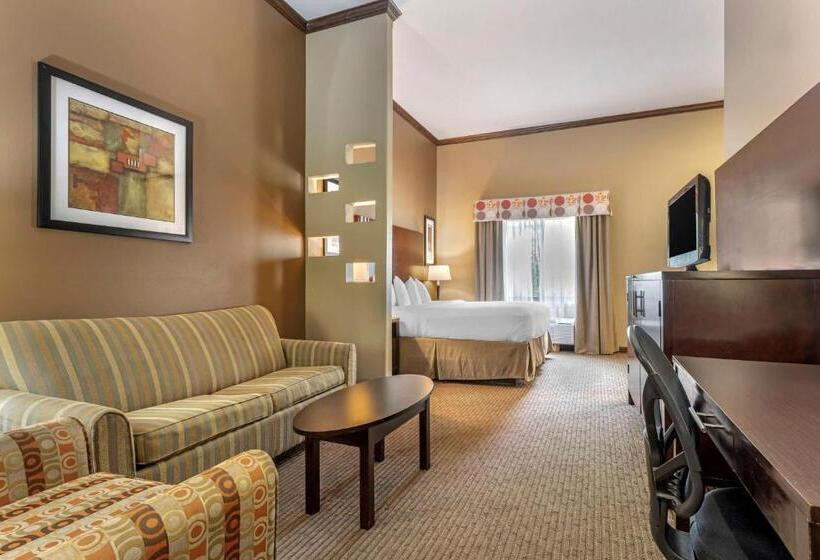 Люкс Кровать Кинг, Best Western Plus Texoma Hotel & Suites