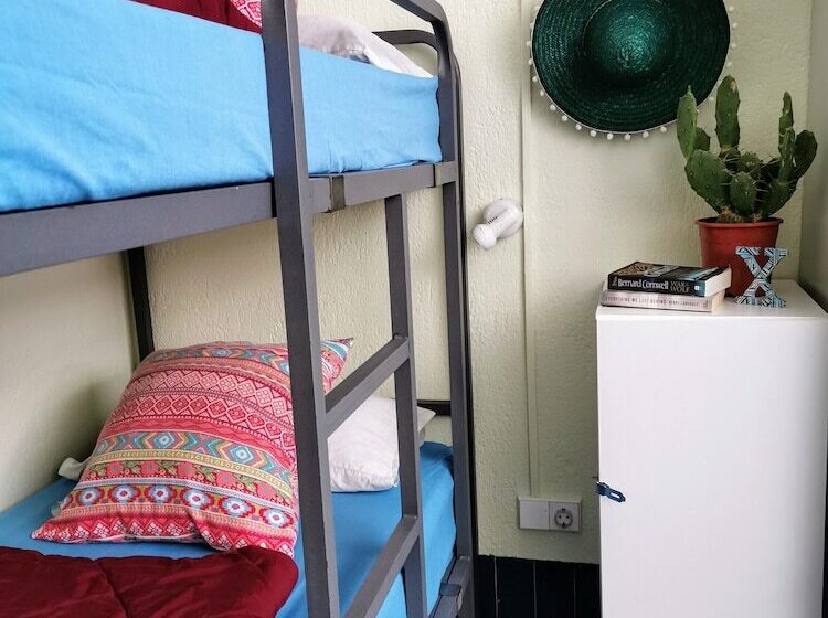 공동 객실, X Hostel Alicante