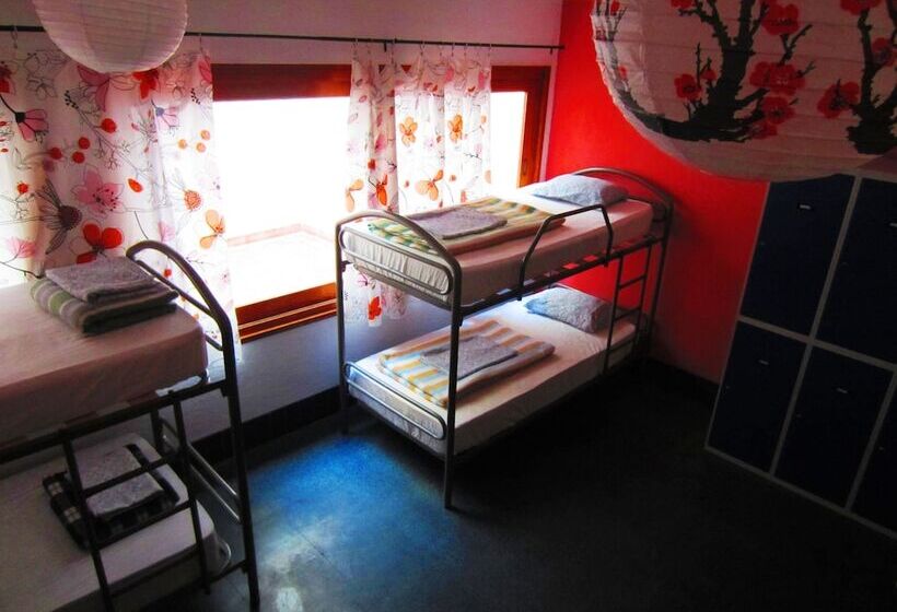 공동 객실, X Hostel Alicante