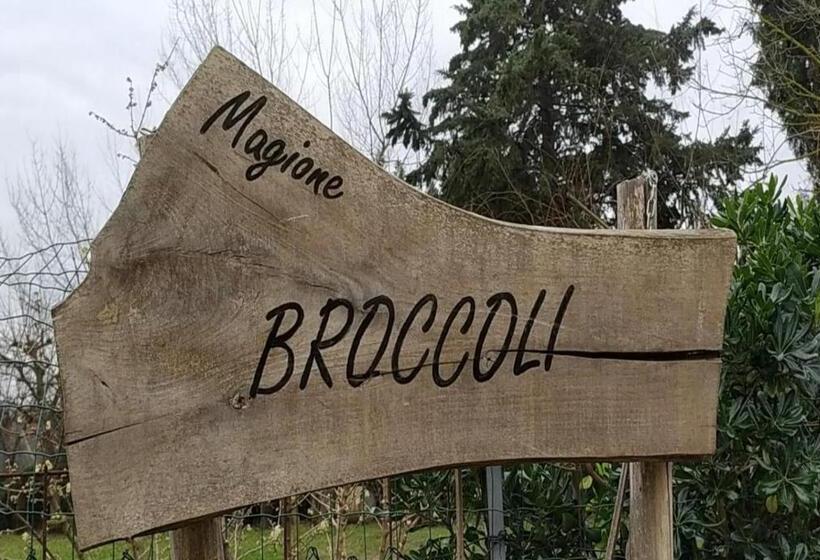 四人标准间, Magione Broccoli