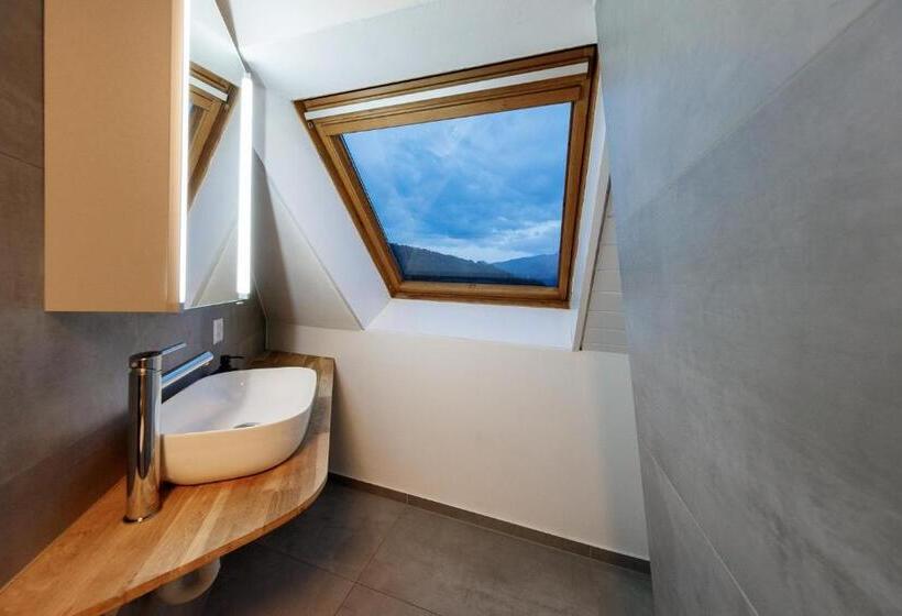 Студия Deluxe, Welcome Apartments Spiez