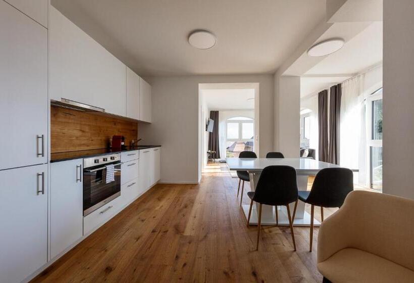 Апартаменты 1 Спальня, Welcome Apartments Spiez