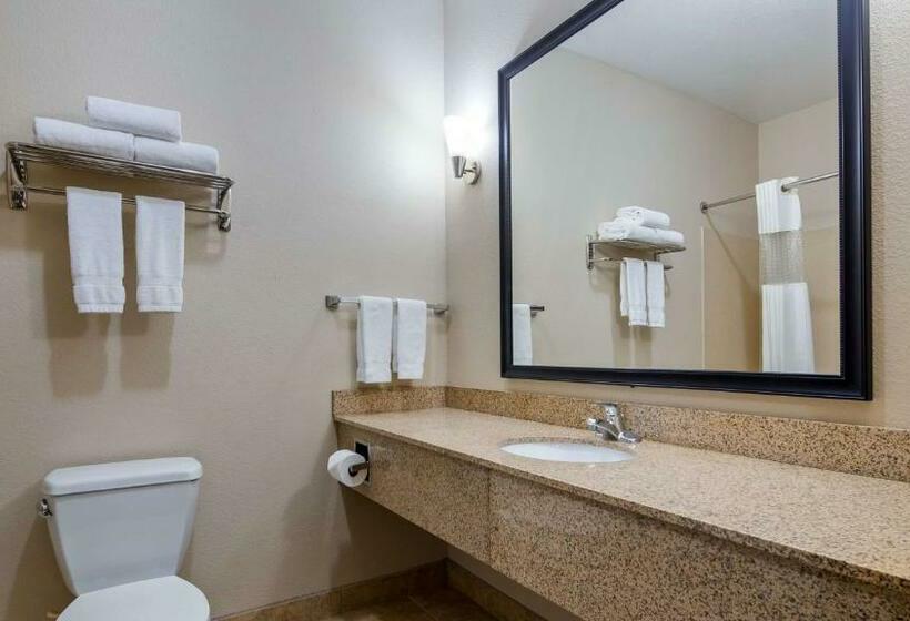 Стандартный Номер Кровать Кинг, Best Western Plus Eastgate Inn & Suites