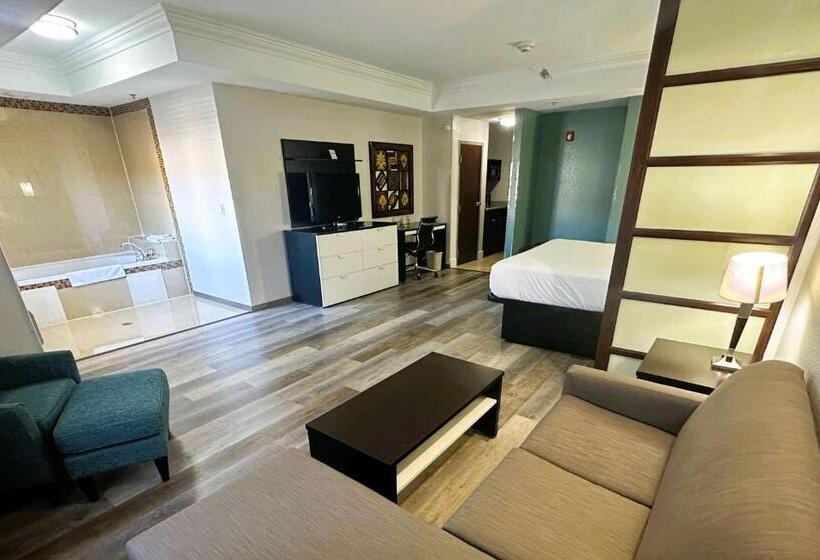 Люкс Кровать Кинг, Best Western Plus Jfk Inn & Suites