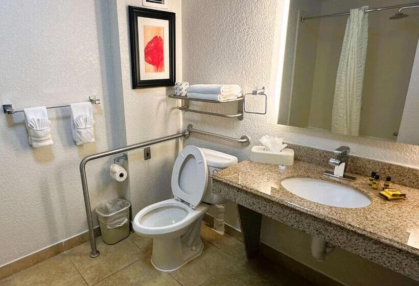 Номер Стандарт Адаптированный для Инвалидов, Best Western Plus Jfk Inn & Suites