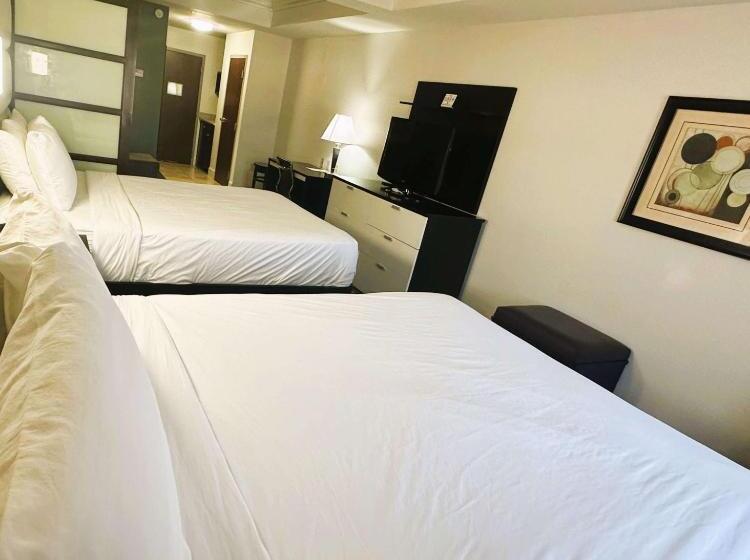套房, Best Western Plus Jfk Inn & Suites