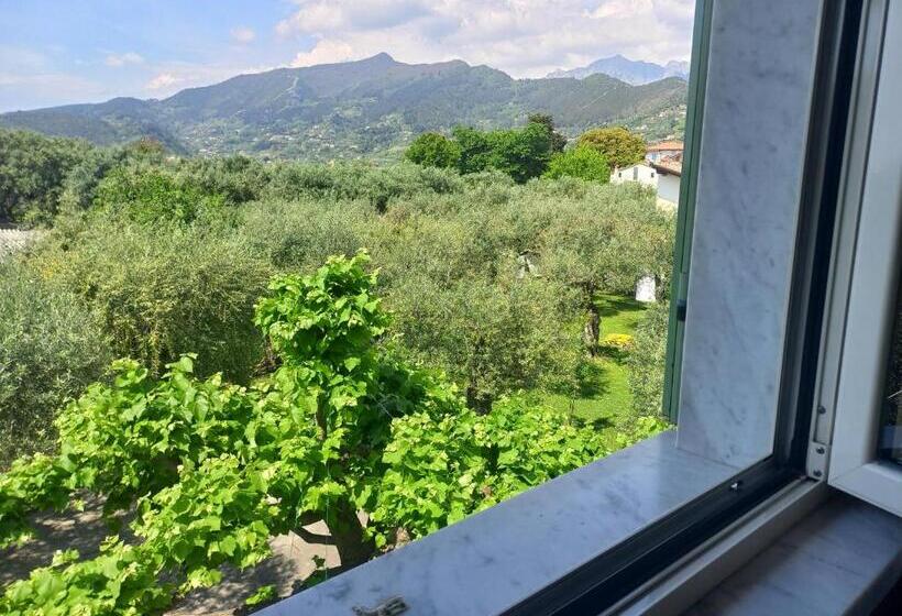 Номер Стандарт, La Madonnina