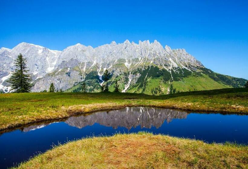 اتاق استاندارد یک نفره, Berghotel Arthurhaus