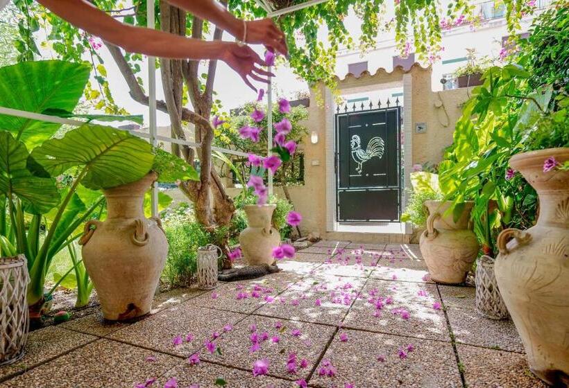 Номер Стандарт Индивидуальный, Villabeachcity Guesthouse