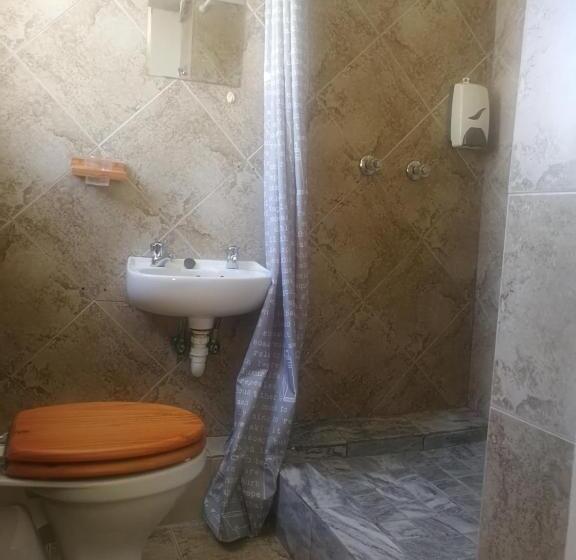 Standart Oda, Bonani B & B