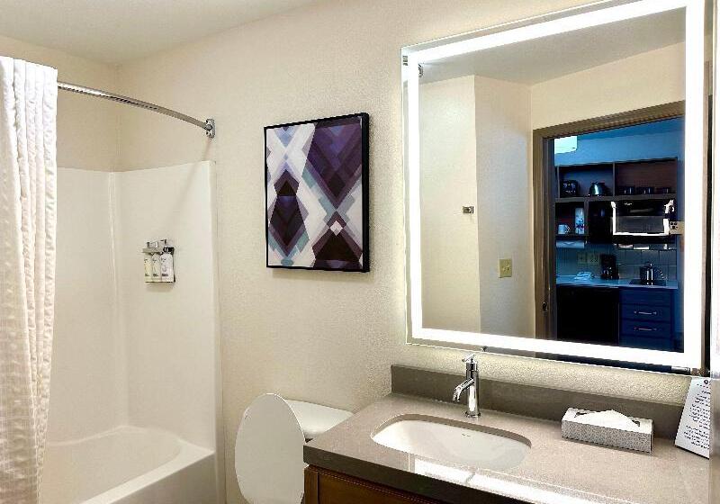 Студио Стандарт Кровать Кинг, Candlewood Suites Savannah Airport, An Ihg
